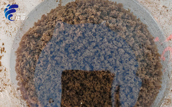 青島仕駿-污泥調(diào)理劑,污泥脫水增效劑制造商