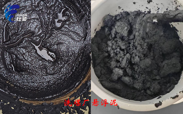 青島仕駿-污泥調(diào)理劑,污泥脫水增效劑制造商