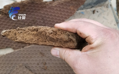 造紙廠生化污泥脫水可以使用什么調理劑-青島仕駿