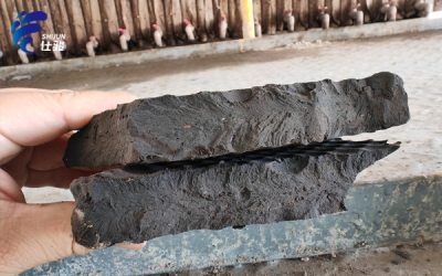 分析泥餅溏心、含水率太高的原因-青島仕駿