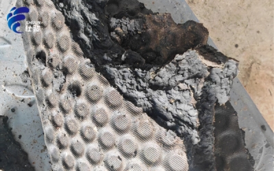 解決帶式機壓泥脫水難題實現污泥深度脫水-青島仕駿