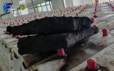 造紙污泥處理，脫水藥劑的選型難點有哪些？-青島仕駿