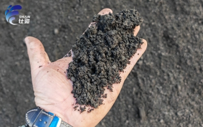 污泥增效劑：造紙污泥體積縮減的&ldquo;化學(xué)利器&rdquo;-青島仕駿