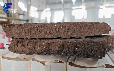 污泥增效劑與傳統(tǒng)污泥處理方法的對比-青島仕駿