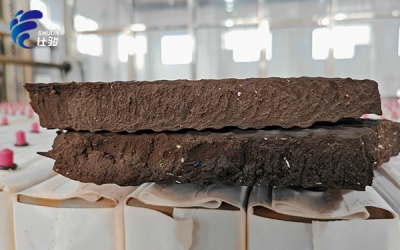 降低板框壓濾機壓泥的營運成本-青島仕駿