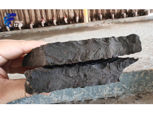 分析泥餅溏心、含水率太高的原因-青島仕駿