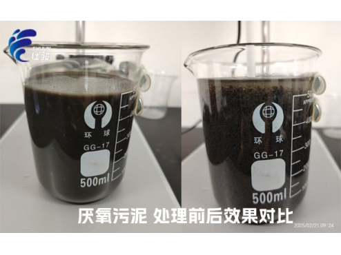 SJC-08型號(hào)的污泥增效劑成功"解鎖"厭氧污泥脫水難的問(wèn)題-青島仕駿