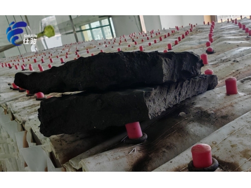 造紙污泥處理，脫水藥劑的選型難點有哪些？-青島仕駿